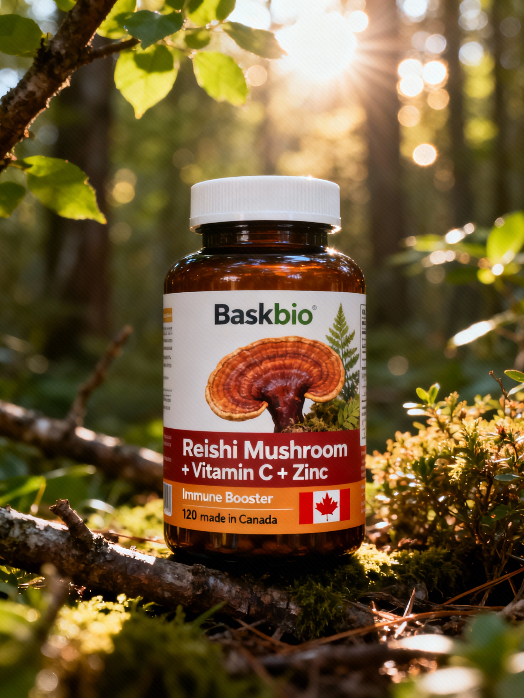 Reishi mushroom + Vitamin C+ Zinc 120 capsules