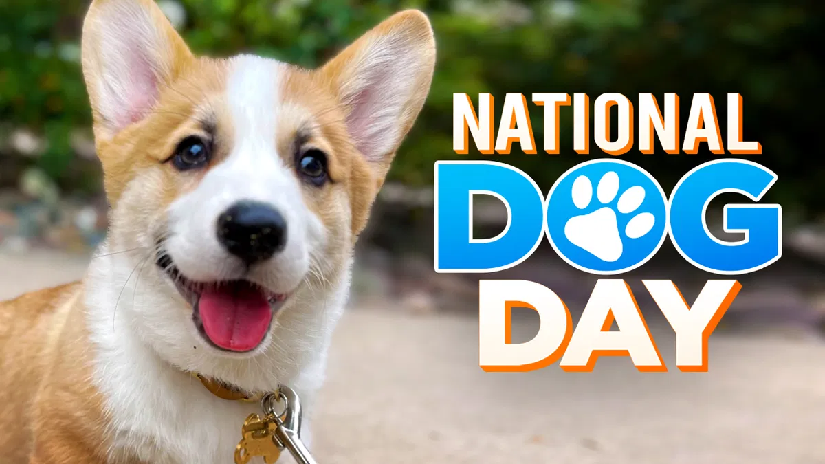When is National Rescue Dog Day: Celebrate Heroes with Heart