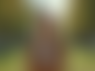 Empoderamiento Femenino: Redefiniendo Límites y Tolerancias