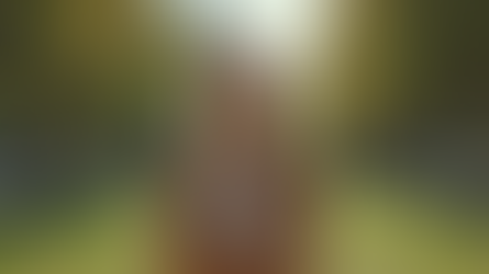 Empoderamiento Femenino: Redefiniendo Límites y Tolerancias