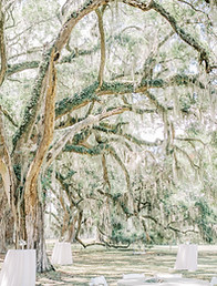 Location: Charleston, SC, Lowcountry, Southern Wedding Venue Features: Live oaks, Spanish moss, outdoor, estate Wedding Keywords: Elegant, romantic, luxury, Southern, nature-inspired