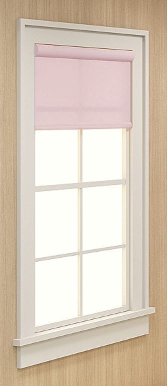 Roller Window Shade