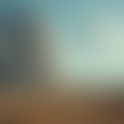 Explore the Best Stargazing Spots in Flagstaff