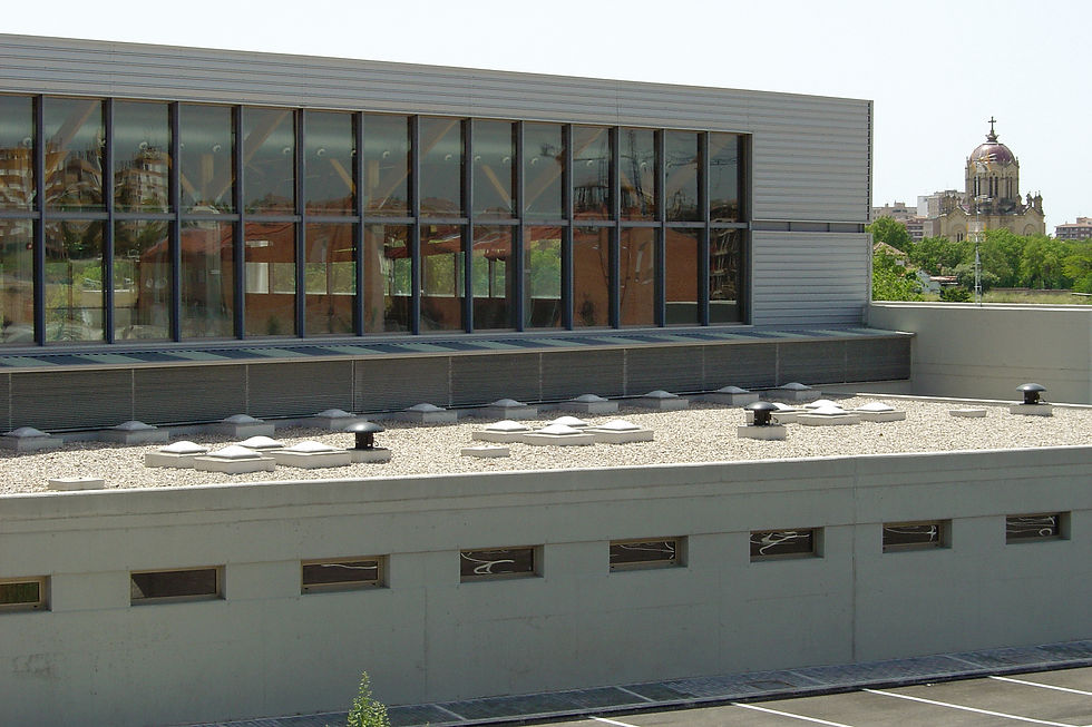 5 Claraboyas Maydisa.jpg