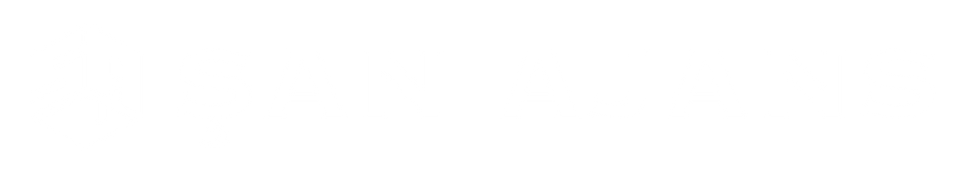 ŞAN AJANS_LOGO.png