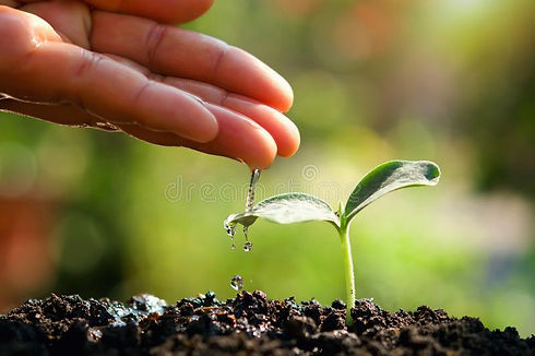 Garden care 2.jpg