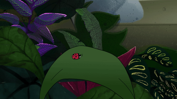 Ladybug (gif).gif
