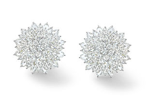 earings jewelry photography