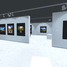Art Gallery V2 - 10.jpeg