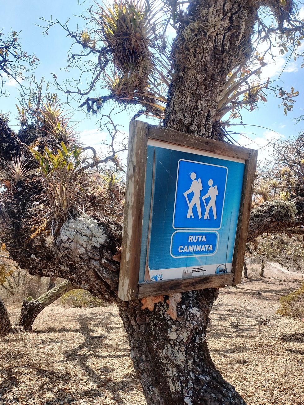 caminatas anuncio smdv.jpg