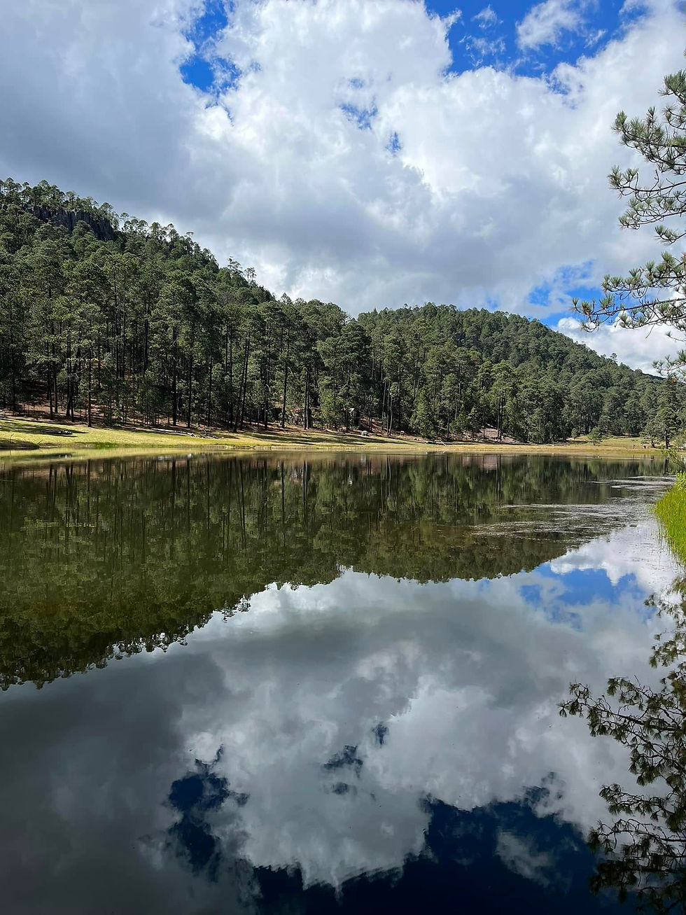 Lago La Neveria.jpg