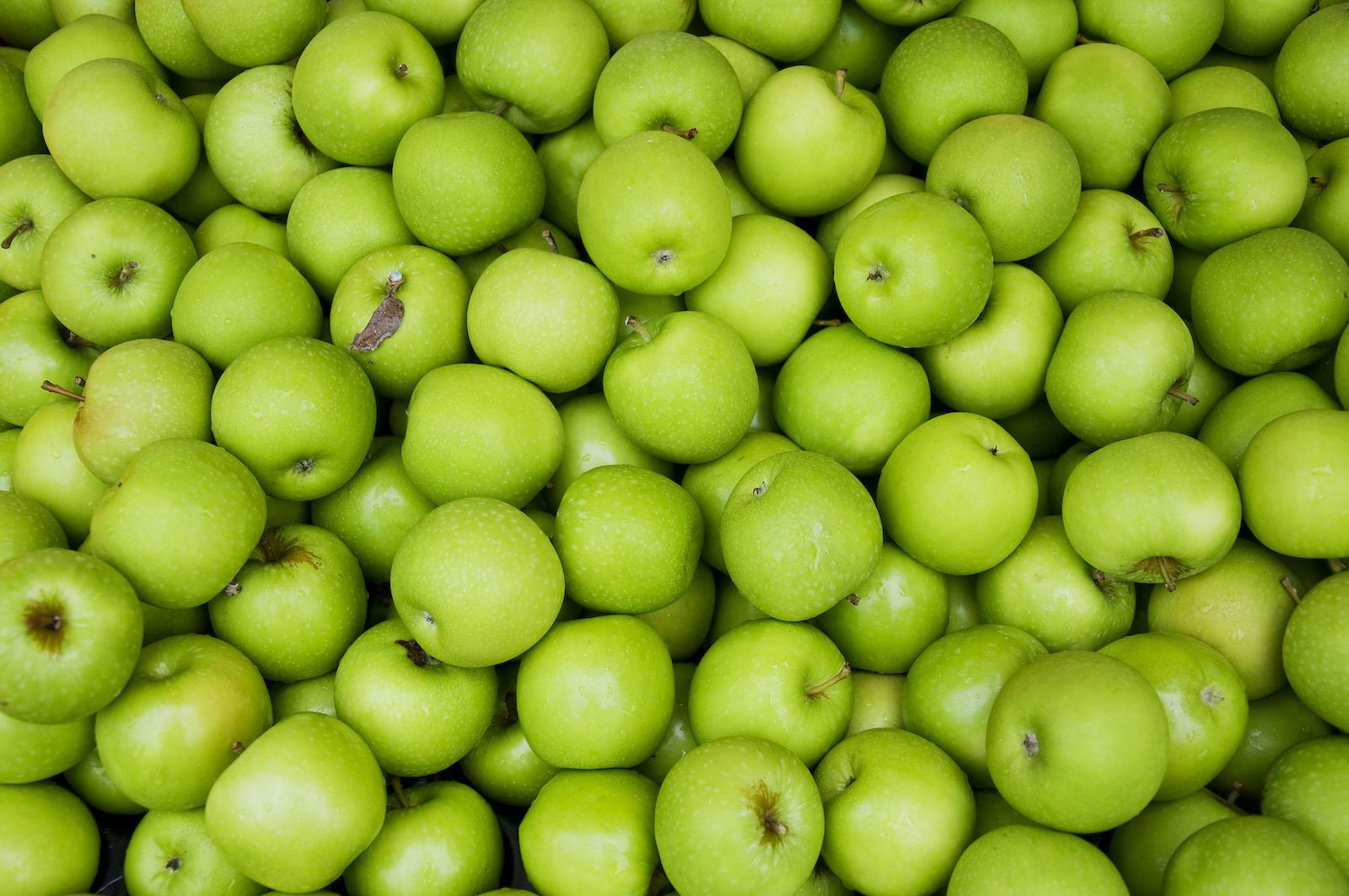 Granny Smith Apples