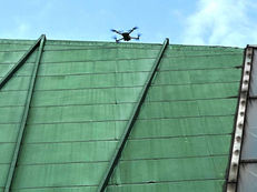 Repairs and Maintenance
