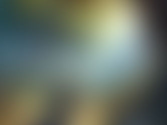 Praying in the Garden of Gethsemane & Arrest