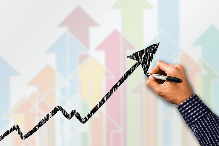 sports betting profits graph