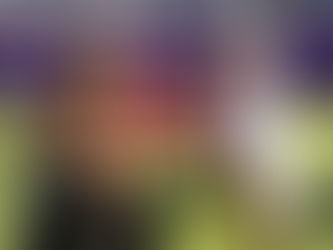 New QCF Ambassador - Pippa Horn