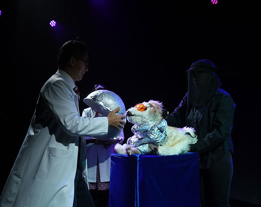 我是小小太空狗 Space dog Laika, Stage Performance