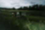 DSC03902.jpg