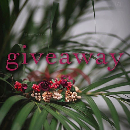 November GIVEAWAY!