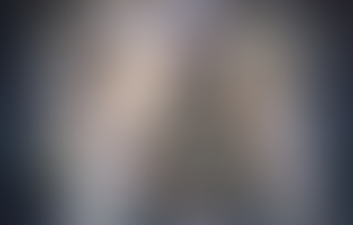 The Catholic Defender: St Boniface and The Christmas Tree Tradition