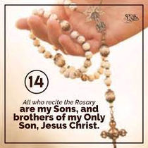 The Catholic Defender: The 15 Promises Our Lady gave for the Rosary. The Fourteenth Promise