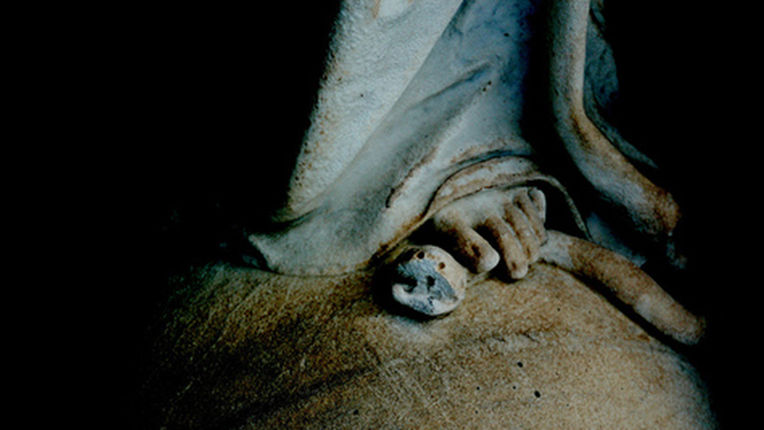 The Guardian Angel: A Look At Genesis 3:15