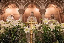 The Catholic Defender:  Souls praying the Rosary will be beloved of God like flowers arranged by me (The Blessed Virgin Mary) to adorn God The Father's throne.”