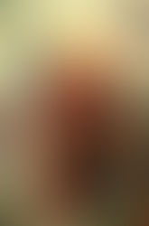 The Catholic Defender: The St. John Neumann Story