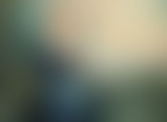 The Catholic Defender: Saint Angela Merici