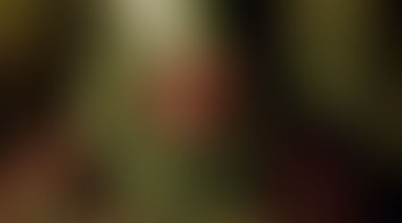 The Catholic Defender: The World of Politics that first Christmas day