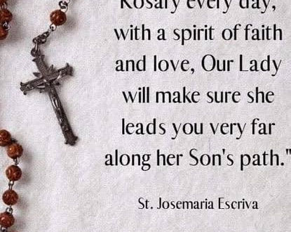 The Catholic Defender: Pray the Rosary out loud from the bible