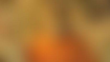 The Catholic Defender: Saint Damasus I