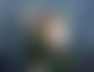 The Catholic Defender: Saint Joseph the Worker