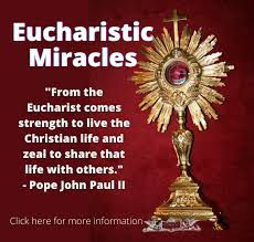 The Catholic Defender: More Eucharistic Miracles with Dr. Gregory Thompson