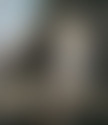 The Catholic Defender: Our Lady of Lourdes