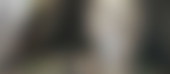 The Catholic Defender: Our Lady of Lourdes