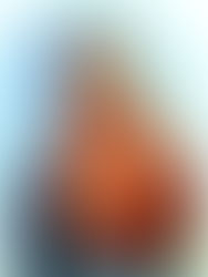 The Catholic Defender: Day 1- Novena to the Immaculate Heart of Mary