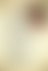 The Catholic Defender: Holy Name of Jesus Preparing for 