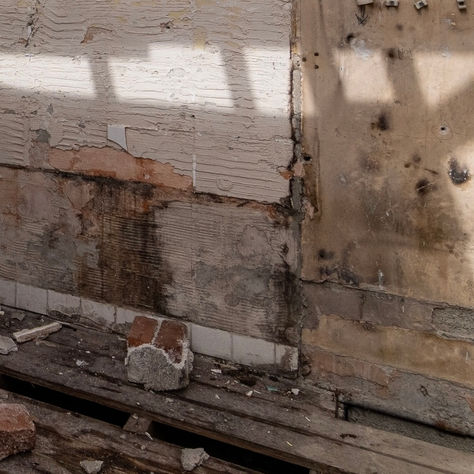 Damp and Mould in Your Home: A Guide to Prevention and Treatment with a Free Downloadable Checklist