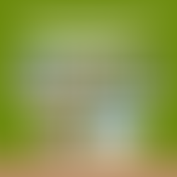 10 Must-Visit Places in Uttarakhand for Nature Lovers