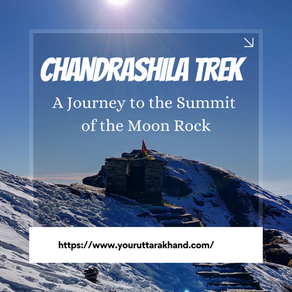Chandrashila Trek: A Journey to the Summit of the Moon Rock