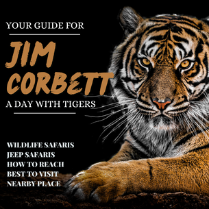 Jim Corbett National Park Explore Wildside