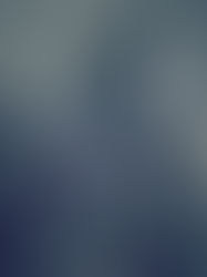 [大推]《東岸沉浮》作者：時玖遠