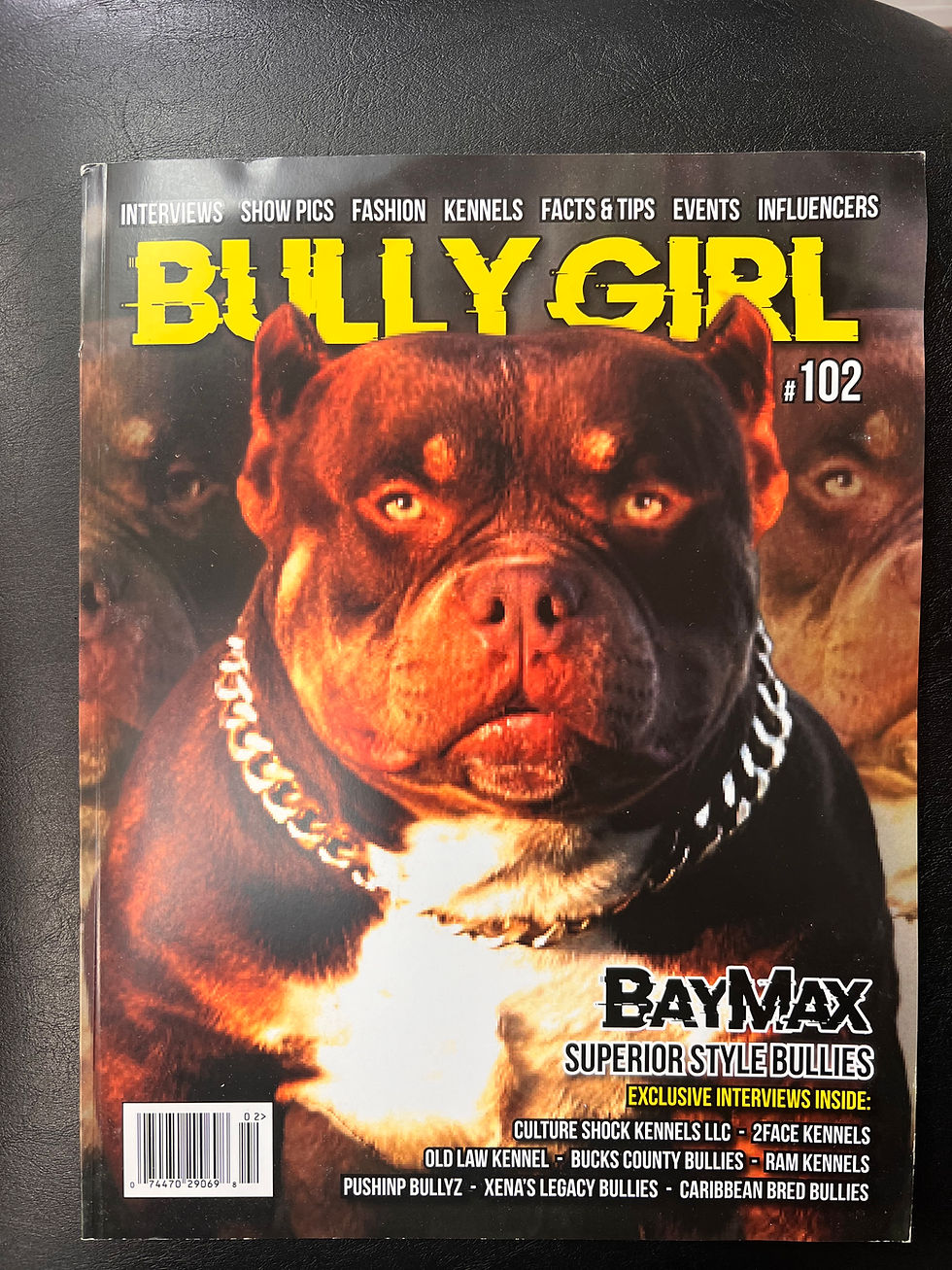 Bully Girl Magazine 