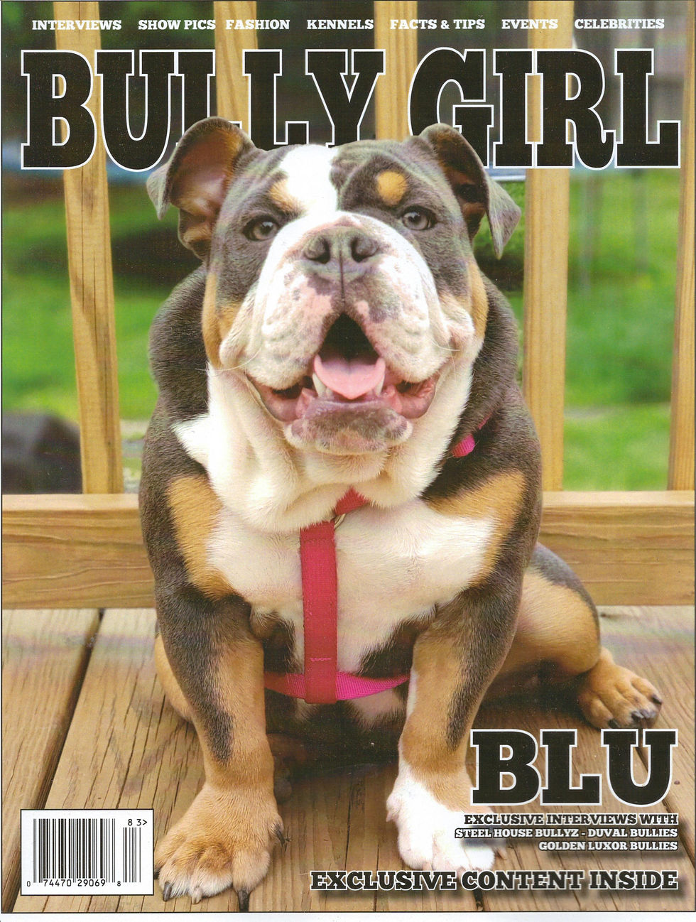 Bully Girl Magazine  Issue 83 Feat Blu