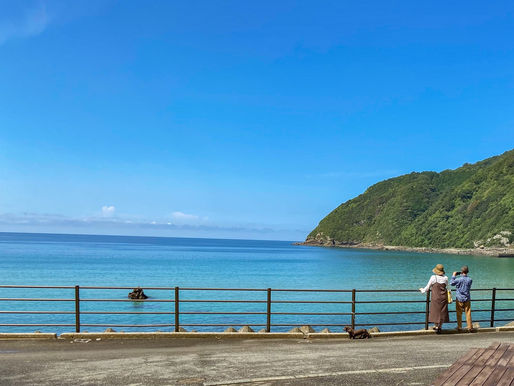あっという間に夏も終わり