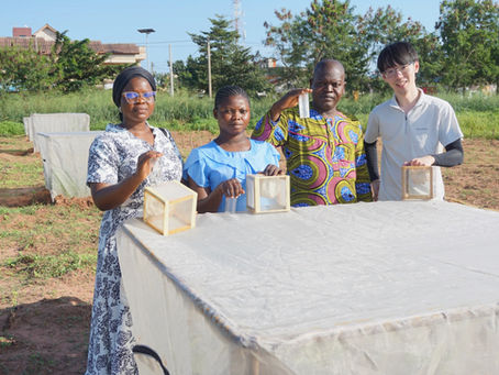 Field work at IITA-Benin