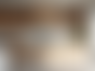 The Ultimate Home Renovation Preparation Guide