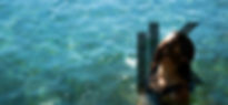 Coastside Skin Model in Water