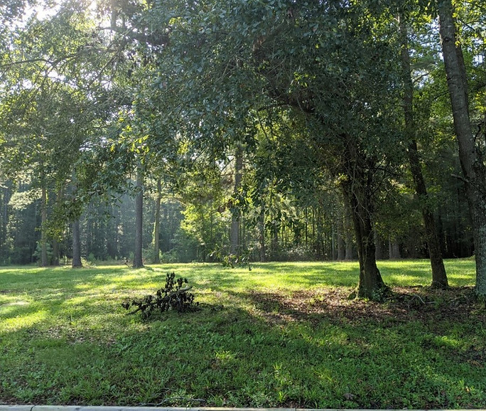 Wide open lot for trailer